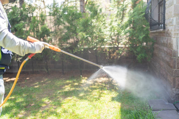 Best Local Pest Control Services  in Homeland, GA