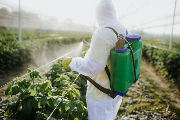 Best Commercial Pest Control Services  in Homeland, GA